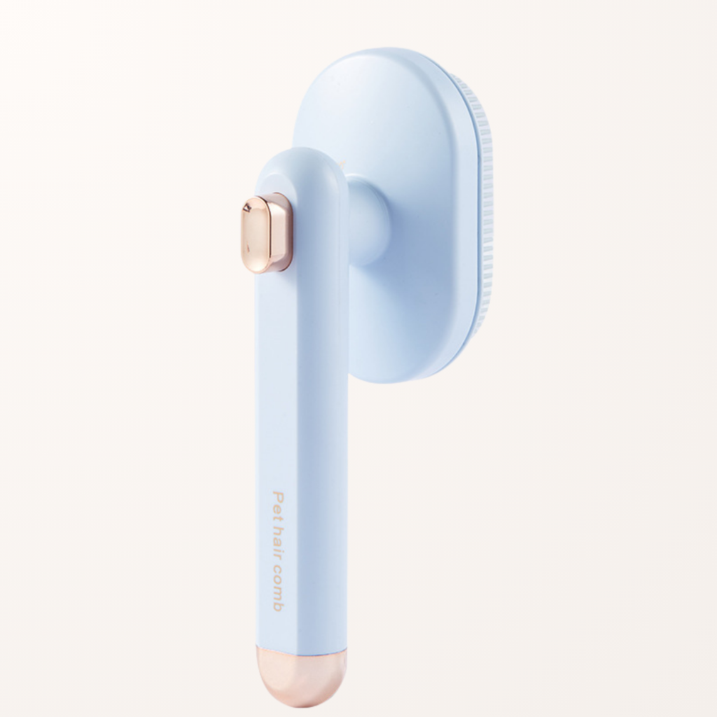 Brosse nettoyante vapeur couleur ciel au design minimaliste Japandi - Pawaia