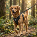 Harnais réglable et respirant noir pour petit chien en promenade - Pawaia